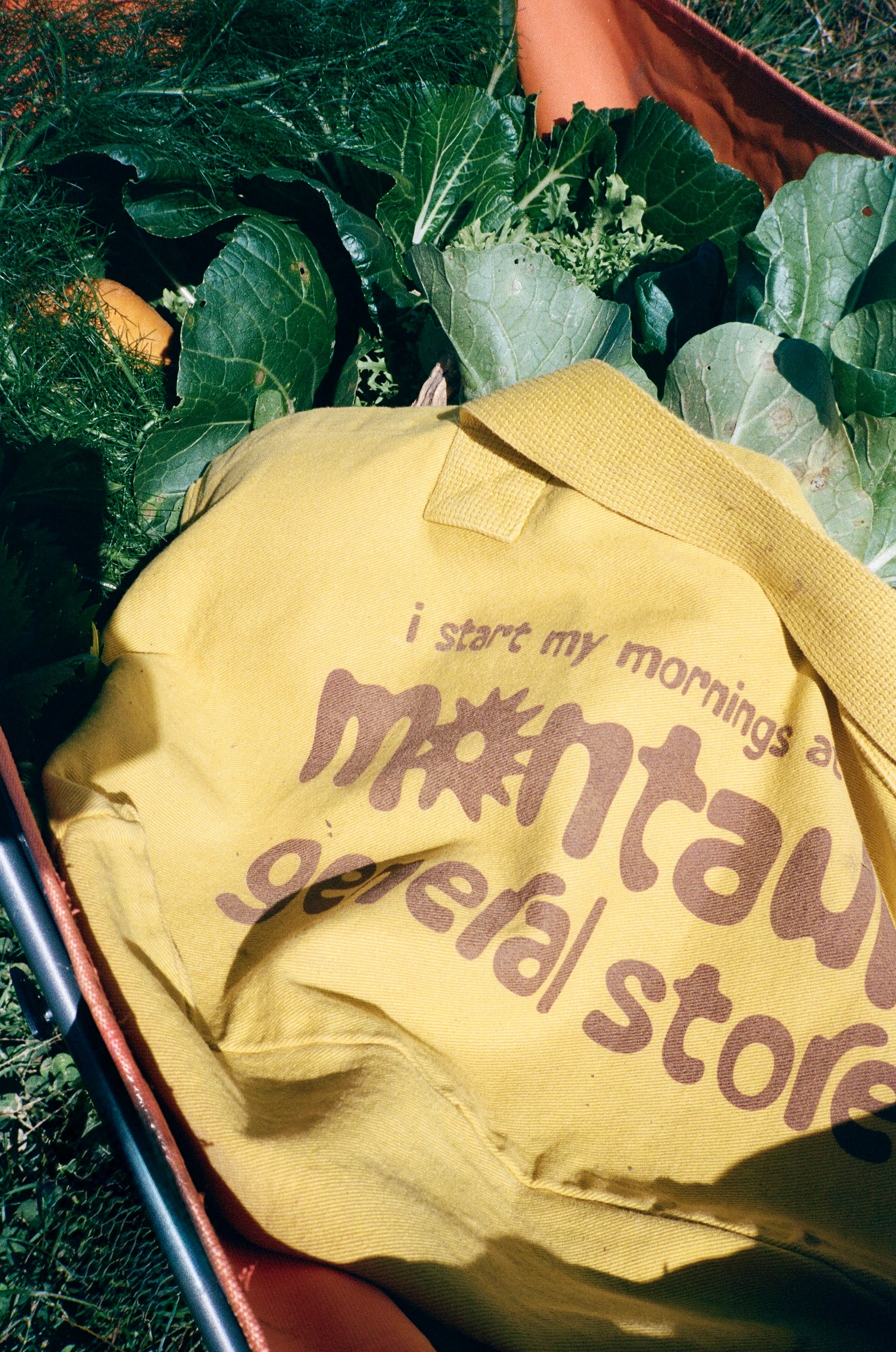 The Morning Tote